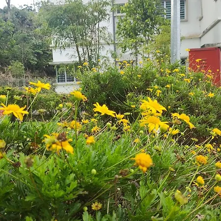 A One Holiday Apartment-Quintet Cameron Highlands Exterior photo